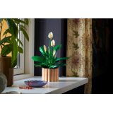LEGO BOTANICALS 11504 Peace Lily