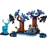 LEGO HARRY POTTER 76475 Forbidden Forest - Expecto Patronum