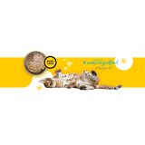 3COTY 01 Chicken - wet cat food - 180g