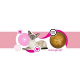 3COTY Cheers! 62. Turkey - wet cat food - 160g