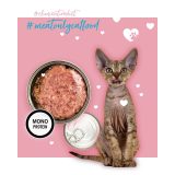 3COTY Turkey - wet cat food - 80g