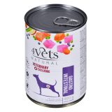 4VETS Natural Gastro Intestinal Dog - wet dog food - 400 g