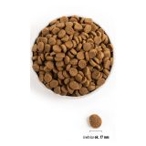 ACANA Adult Large Breed - dry dog food - 11 4kg