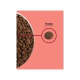 ACANA Highest Protein Indoor Cat - dry cat food - 4 5kg