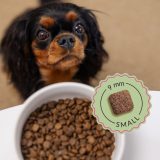ADDVENA Boosted by superfoods Adult Small Beef - dry dog food - 2 5kg