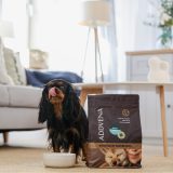 ADDVENA Boosted by superfoods Adult Small Beef - dry dog food - 2 5kg