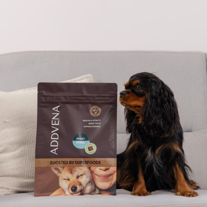 ADDVENA Boosted by superfoods Adult Small Beef - dry dog food - 2 5kg