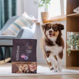 ADDVENA Boosted by superfoods Junior Medium/Large Beef - dry dog food - 10kg