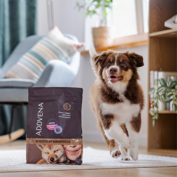 ADDVENA Boosted by superfoods Junior Medium/Large Beef - dry dog food - 10kg