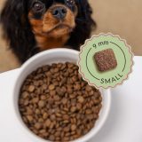 ADDVENA Boosted by superfoods Junior Small Beef - dry dog food - 2 5kg