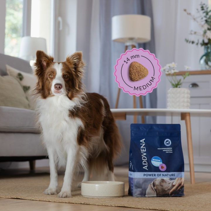 ADDVENA Power of Nature Adult Sensitive Medium/Large Mono Lamb - dry dog food - 10kg