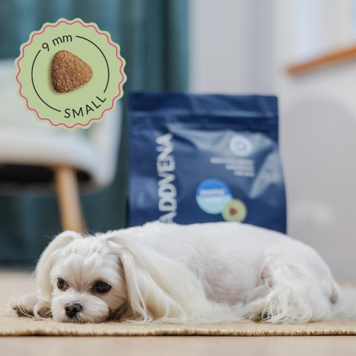 ADDVENA Power of Nature Adult Sensitive Small Lamb - dry dog food - 2 5kg