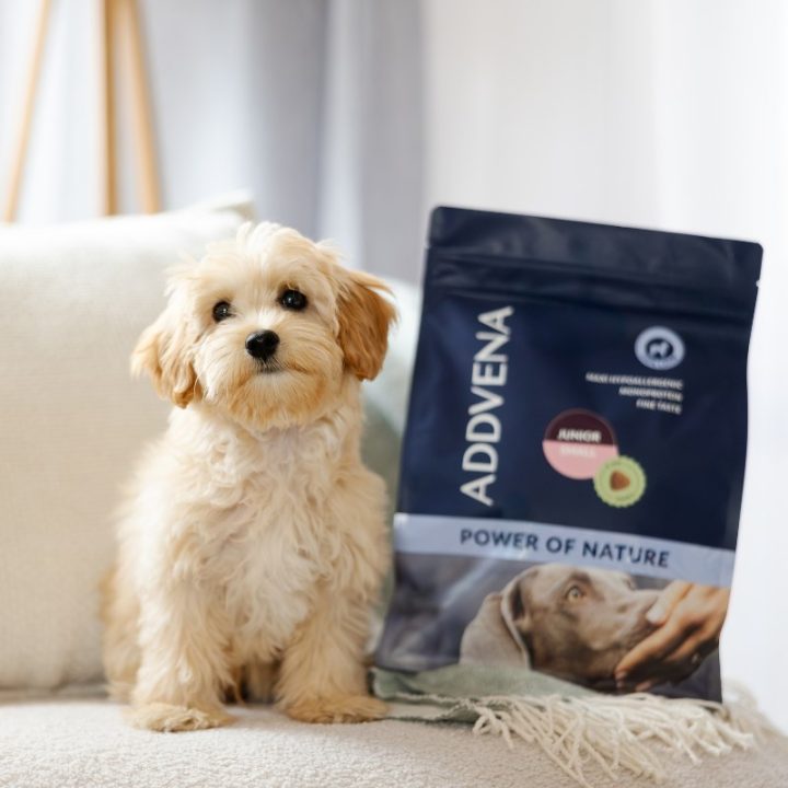 ADDVENA Power of Nature Junior Small Lamb - dry dog food - 10kg