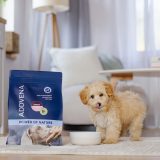 ADDVENA Power of Nature Junior Small Lamb - dry dog food - 2 5kg