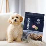 ADDVENA Power of Nature Junior Small Lamb - dry dog food - 2 5kg