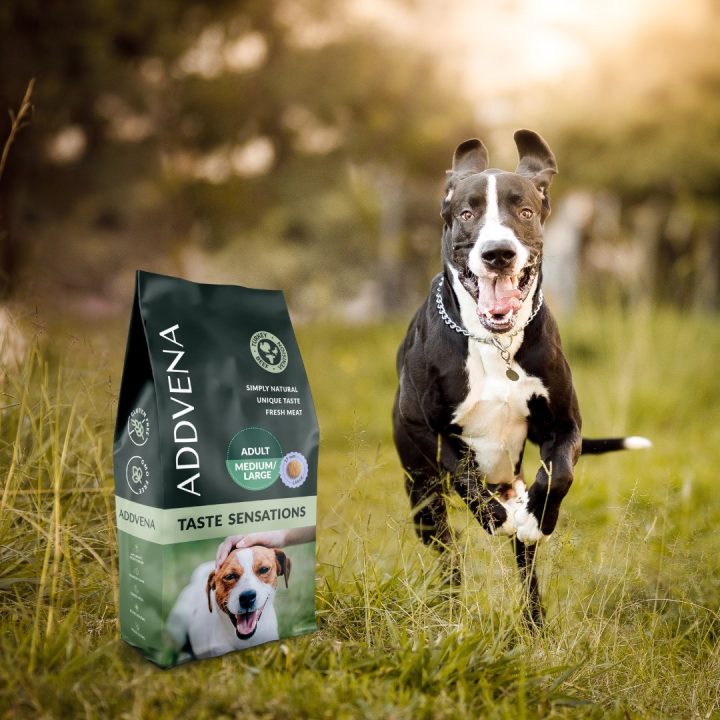 ADDVENA Taste Sensations Adult Medium/Large Turkey - dry dog food - 10kg