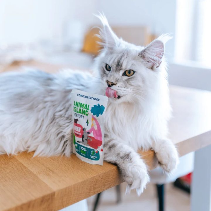 ANIMAL ISLAND Beef in broth - wet cat food - 40x85g