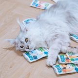 ANIMAL ISLAND Chicken in broth - wet cat food - 40x85g