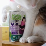 ANIMAL ISLAND Chicken with lamb Fillets in broth - wet cat food - 12x85g