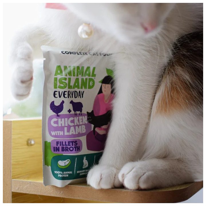 ANIMAL ISLAND Everyday Chicken with lamb in broth Box - wet cat food - 12x85g + free plate