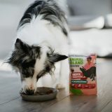 ANIMAL ISLAND Everyday Monoprotein Turkey - wet dog food - 300g