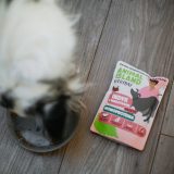 ANIMAL ISLAND Everyday Monoprotein Turkey - wet dog food - 300g