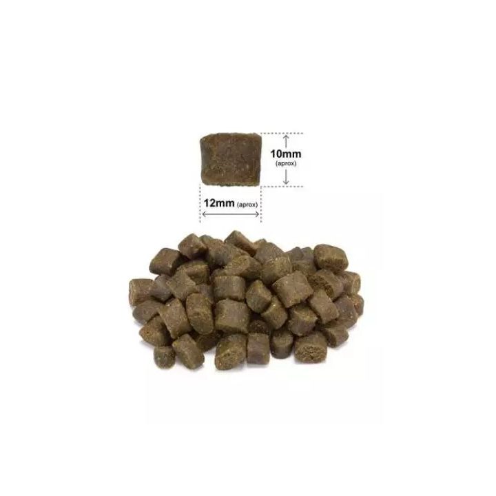 ARQUIVET Fresh Duck with ocean fish - semi-moist dog food - 10 kg
