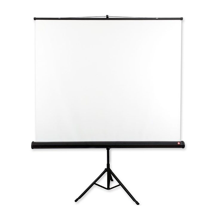 Avtek Tripod Standart 175 projection screen 1:1