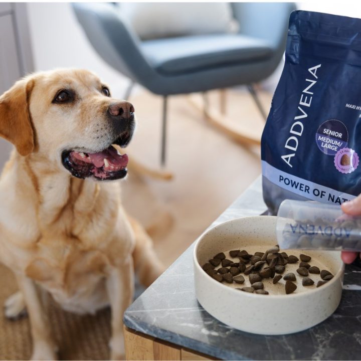 ADDVENA Power of Nature Senior Medium/Large Mono Lamb - dry dog food - 10kg