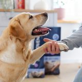 ADDVENA Power of Nature Senior Medium/Large Mono Lamb - dry dog food - 10kg