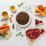 VETEXPERT Raw Paleo Ultra Medium&Large Adult Beef - dry dog ??food - 10 kg
