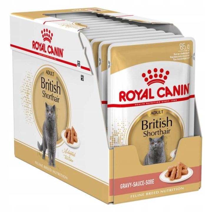 ROYAL CANIN British Shorthair - wet cat food - 12 x 85g