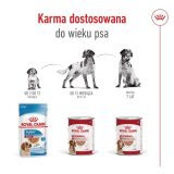 ROYAL CANIN Medium Loaf - wet dog food - 410g