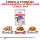 ROYAL CANIN FHN Sterilised in sauce - wet food for adult cats - 12x85g