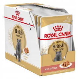 ROYAL CANIN British Shorthair - wet cat food - 12 x 85g