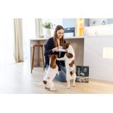 ADDVENA Taste Sensations Adult Small Turkey - dry dog food - 2 5kg