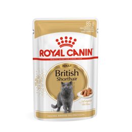 ROYAL CANIN British Shorthair packet 12x85g