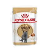 ROYAL CANIN British Shorthair packet 12x85g