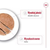 ROYAL CANIN Maxi Loaf - wet dog food - 410g