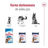 ROYAL CANIN Maxi Loaf - wet dog food - 410g