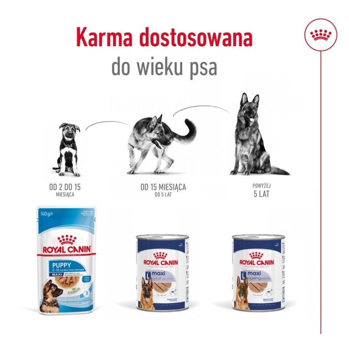 ROYAL CANIN Maxi Loaf - wet dog food - 410g