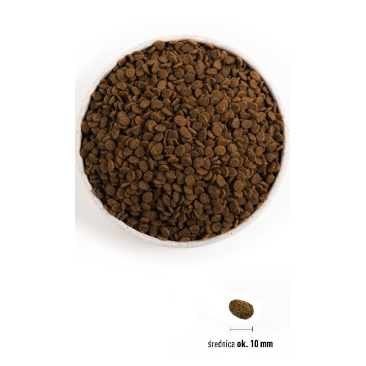 ORIJEN Guardian 8 - dry cat food - 1 8kg