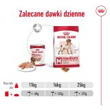 ROYAL CANIN Medium Loaf - wet dog food - 410g