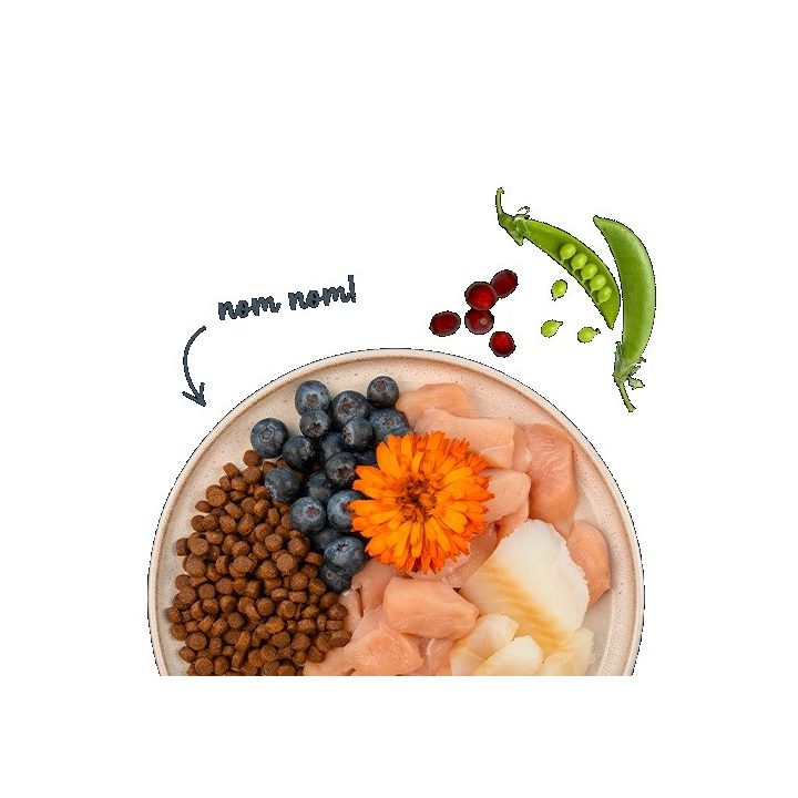 BOSCH Sanabelle Adult Trout & Blueberries - dry cat food - 2kg