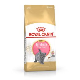 Royal Canin British Shorthair Kitten cats dry food 2 kg Poultry Rice Vegetable