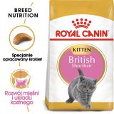 Royal Canin British Shorthair Kitten cats dry food 2 kg Poultry Rice Vegetable