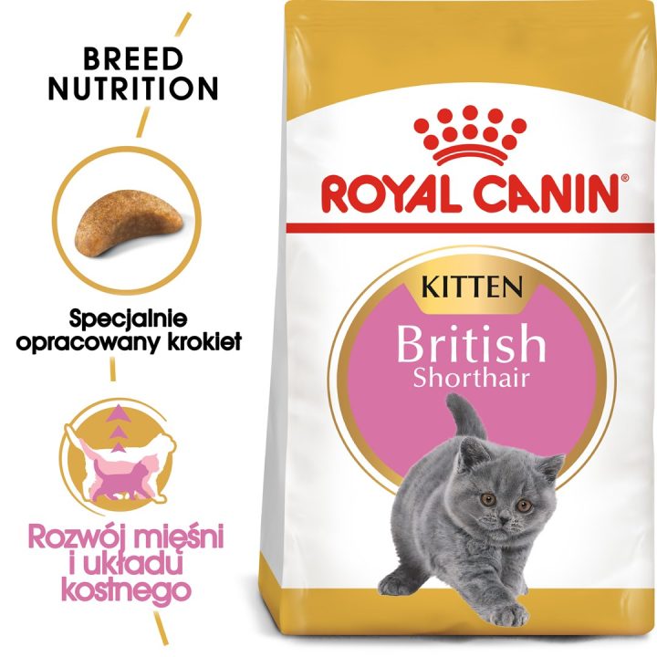 Royal Canin British Shorthair Kitten cats dry food 2 kg Poultry Rice Vegetable