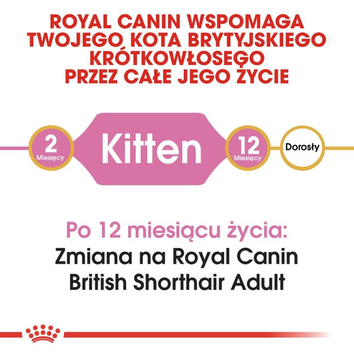 Royal Canin British Shorthair Kitten cats dry food 2 kg Poultry Rice Vegetable