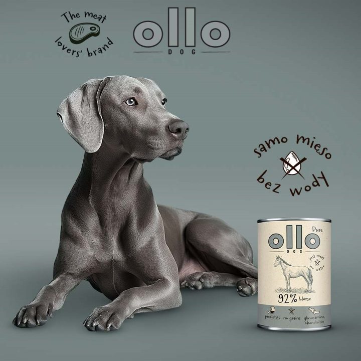 OLLO Pure Horse Mono - wet dog food - 850g