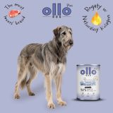 OLLO Plus Collagen Mono Lamb - wet dog food - 800g
